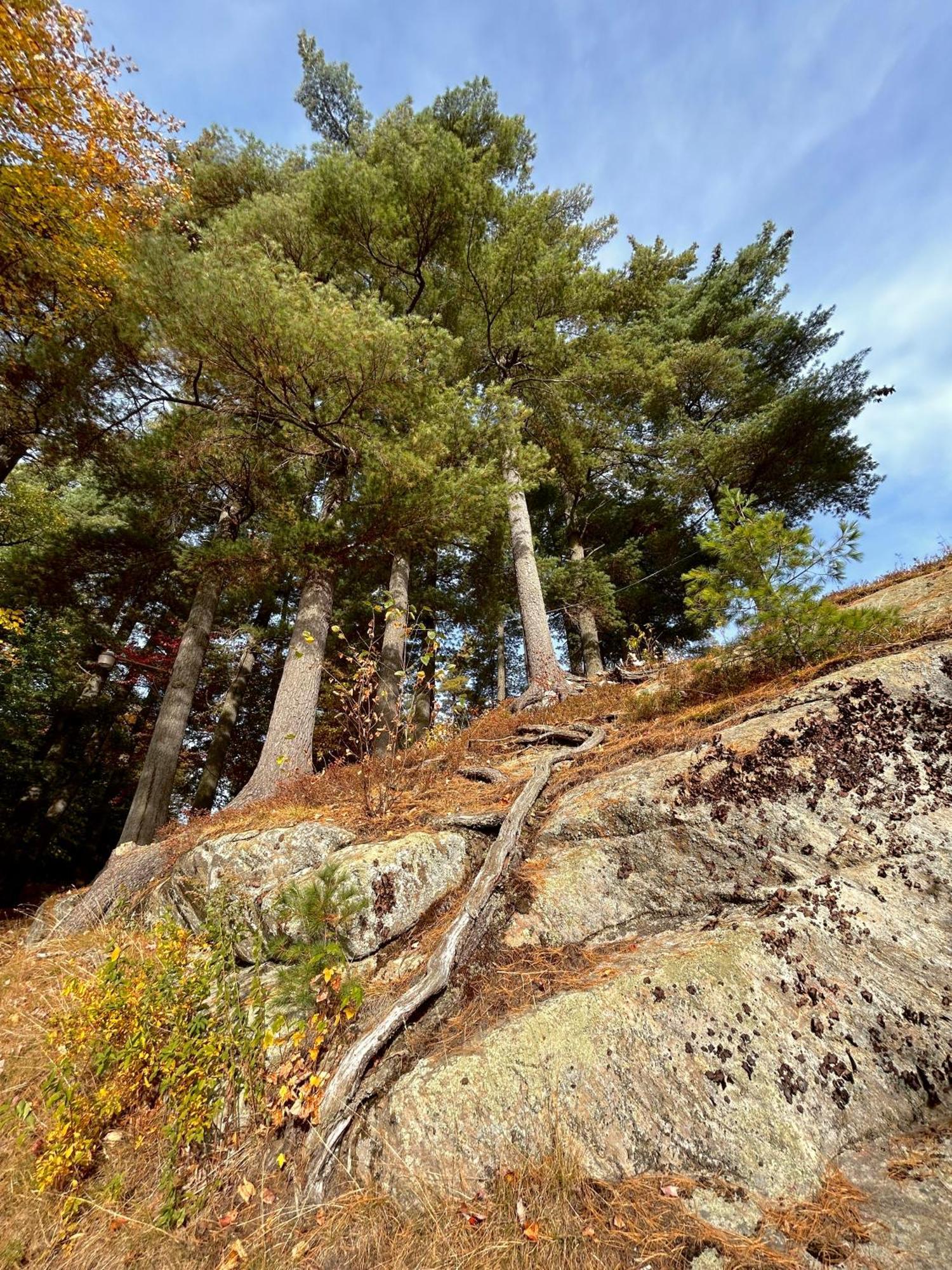 Paddler'S Rest Lakeside Cabins And Motel Long Lake エクステリア 写真