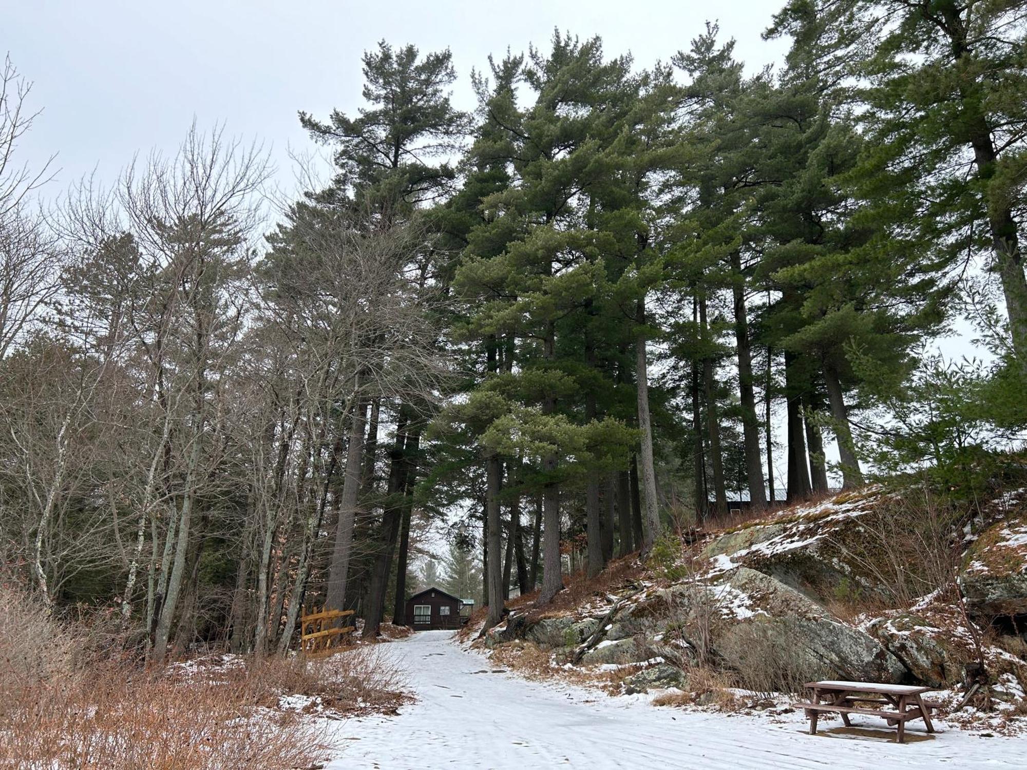 Paddler'S Rest Lakeside Cabins And Motel Long Lake エクステリア 写真