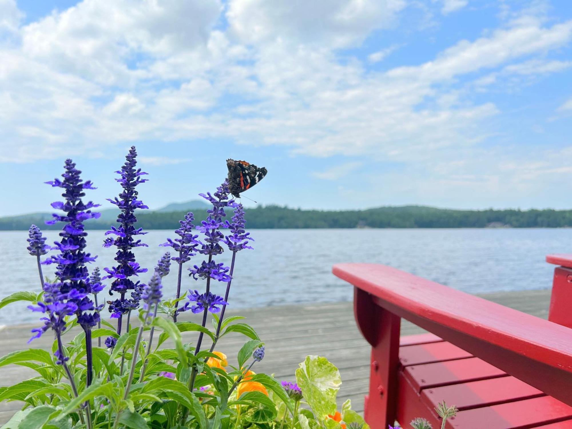 Paddler'S Rest Lakeside Cabins And Motel Long Lake エクステリア 写真
